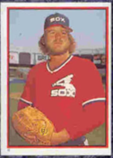 1983 Topps Baseball Stickers     016      LaMarr Hoyt